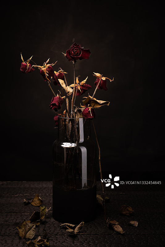 黑色背景上的枯萎玫瑰，栩栩如生图片素材