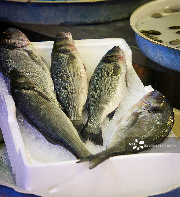 意大利坎帕尼亚那不勒斯鱼市图片素材