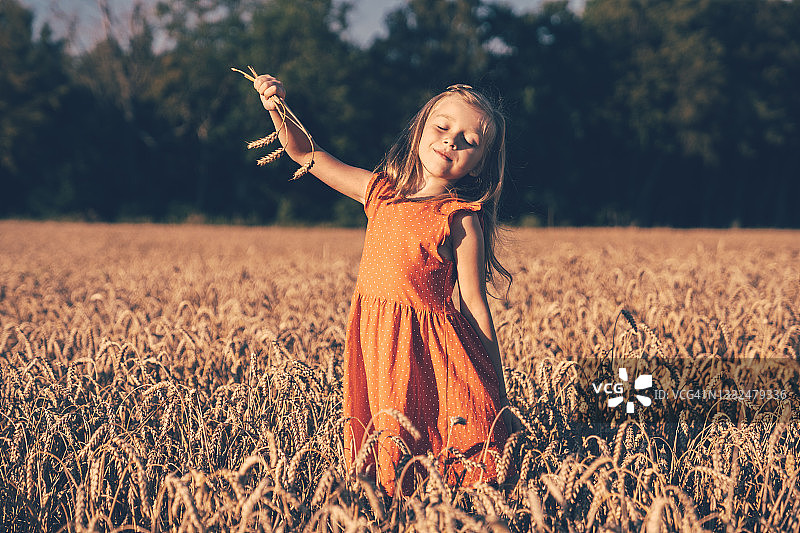 夕阳下麦田里的小女孩照片图片素材