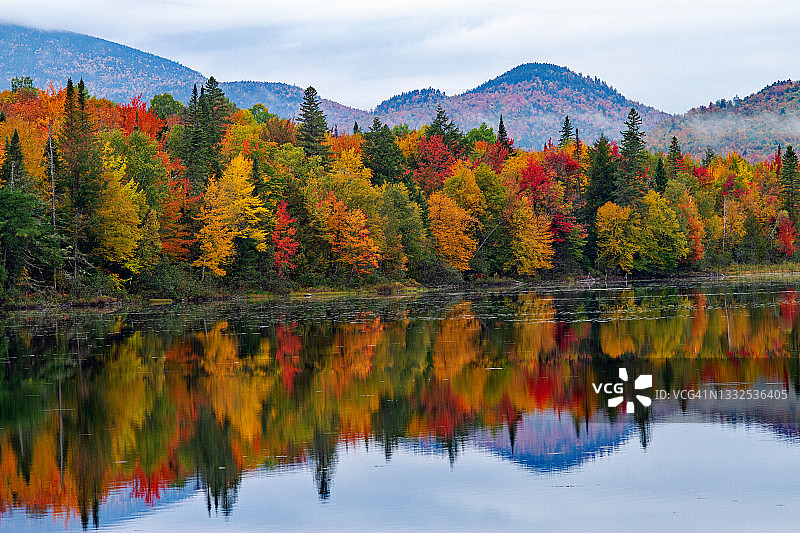 新罕布什尔州安德罗斯科金河沿岸的彩色秋叶图片素材