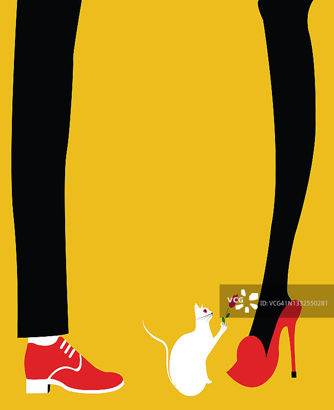 一只可爱的白猫向女士献花图片素材