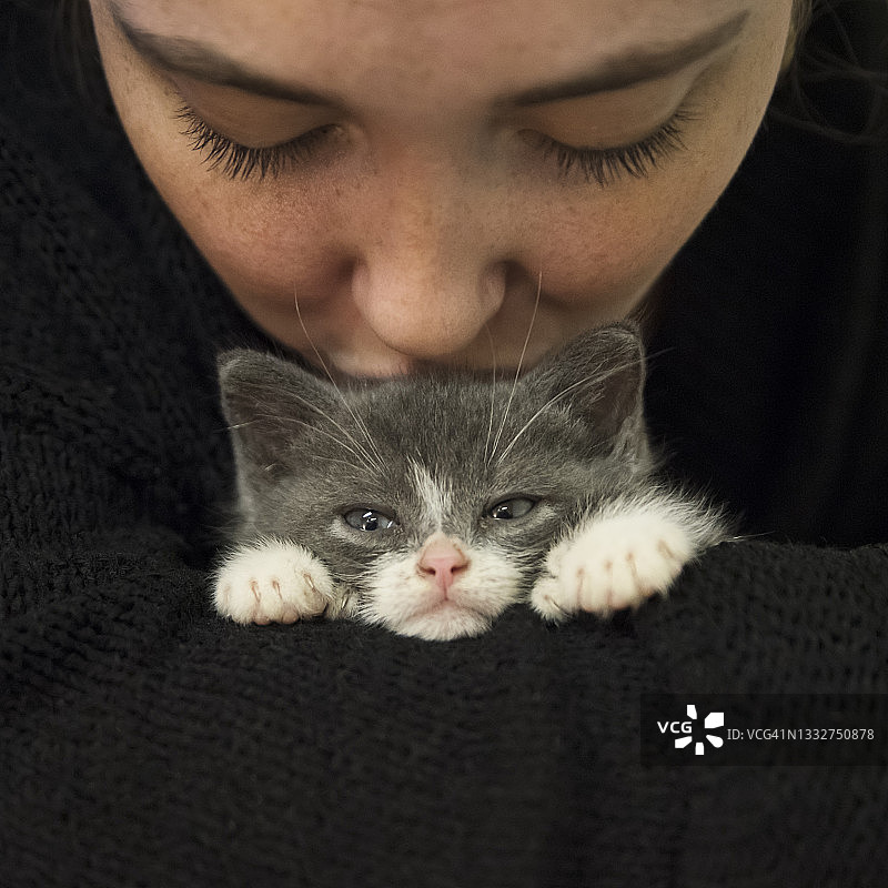 年轻女子亲吻可爱的多趾小猫图片素材