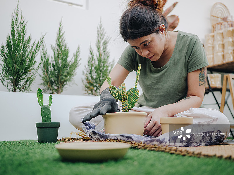 种植仙人掌和多肉植物的女人图片素材
