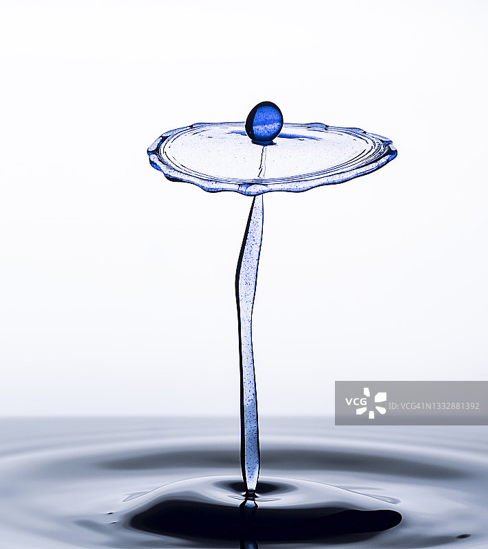 蓝色水滴（水蘑菇）在白色背景上的碰撞图片素材