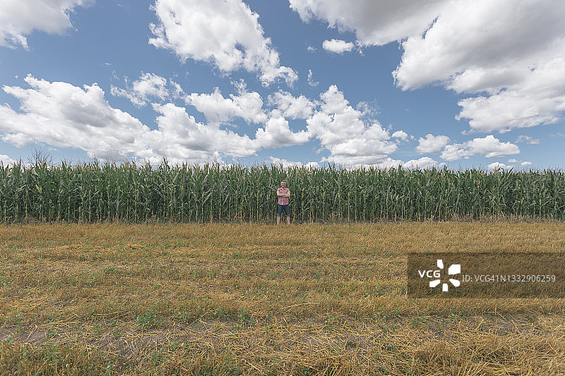 农民在他丰收的农田里图片素材