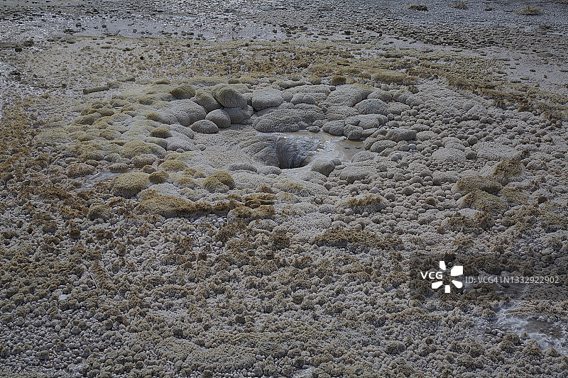 黄石国家公园诺里斯间歇泉盆地的泥浆池图片素材