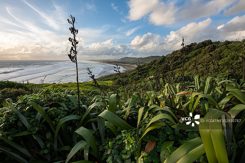 新西兰奥克兰穆里怀海滩的自然风光图片素材