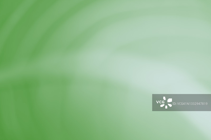 浅绿色柔焦叶子图案图片素材