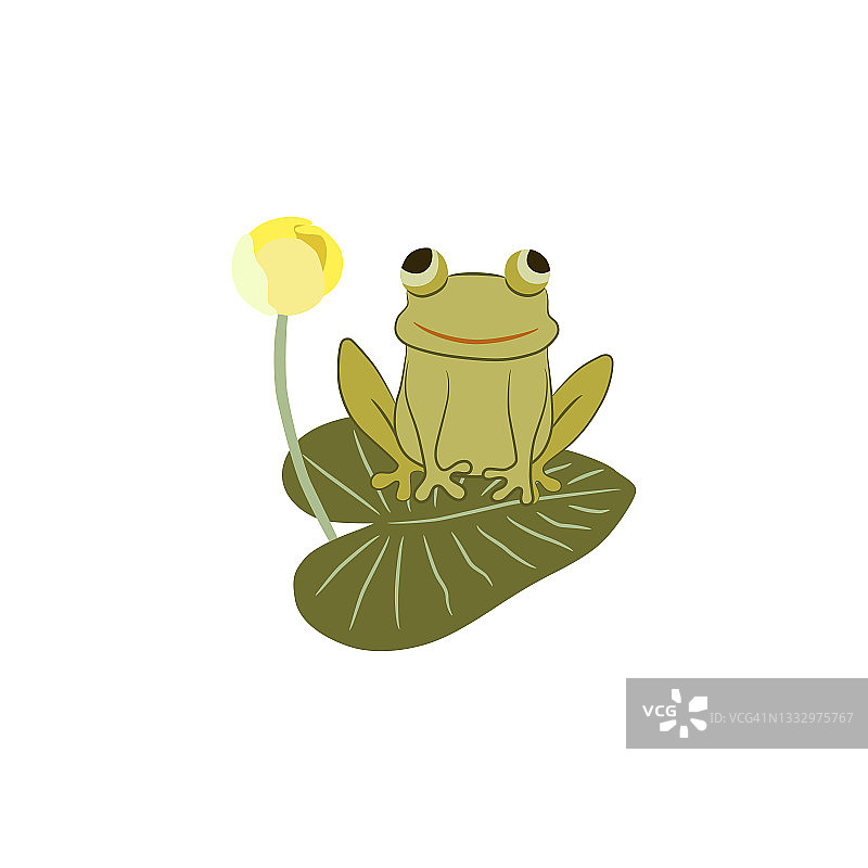 可爱的青蛙角色，两栖动物坐在沼泽的荷叶上微笑，有趣的儿童矢量插图图片素材