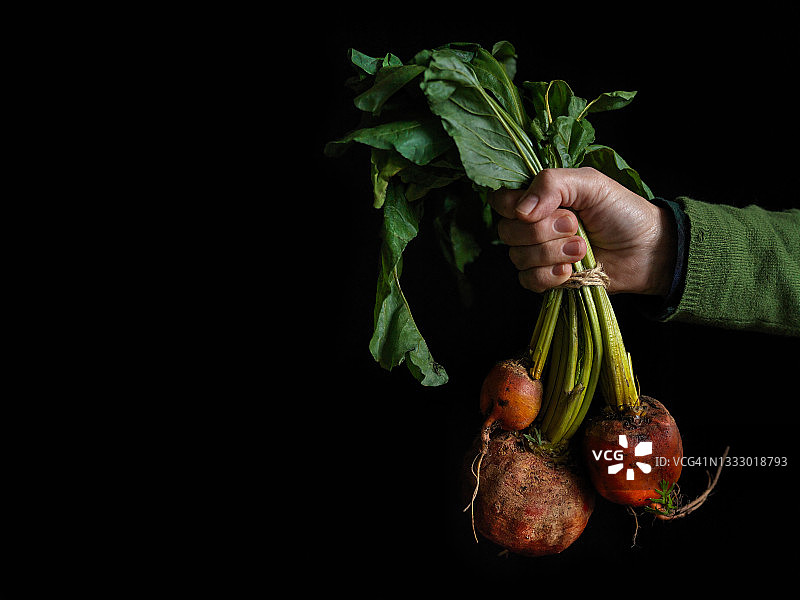 女士手拿金色甜菜（黑色背景）图片素材