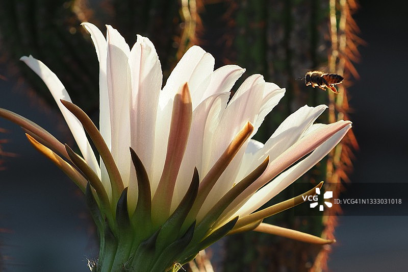 另一边图片素材