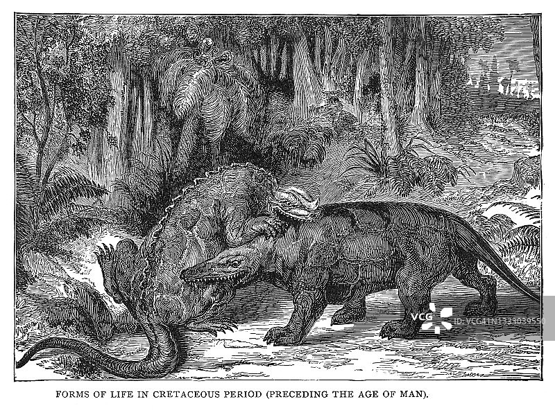 白垩纪时期（人类时代之前）的生命形态的古代雕刻插图图片素材