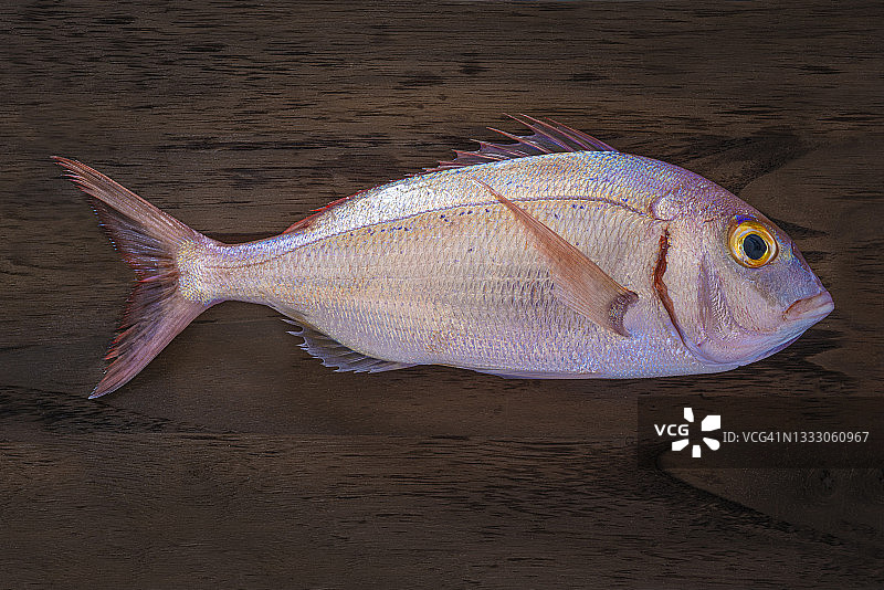 新鲜红鲷鱼或粉色海鲷（深色木纹背景）图片素材