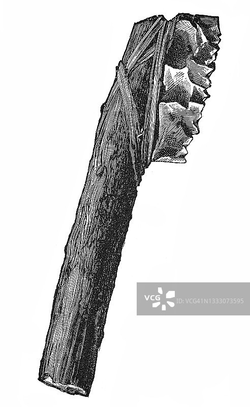 旧新西兰人武器雕刻插画图片素材