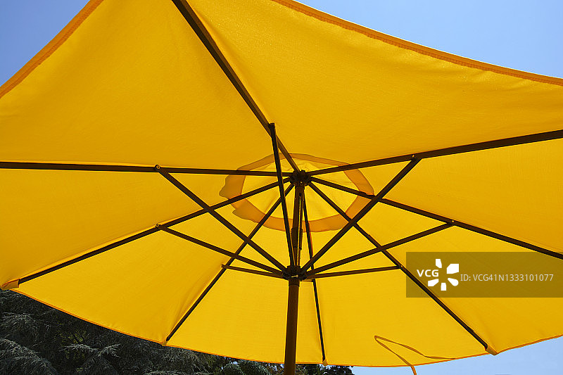 黄色阳伞仰视图片素材
