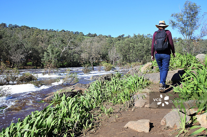澳大利亚妇女在西澳大利亚珀斯附近的天鹅谷沿天鹅河徒步旅行图片素材
