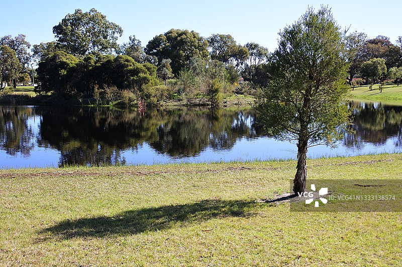静水池塘水面倒影景观图片素材