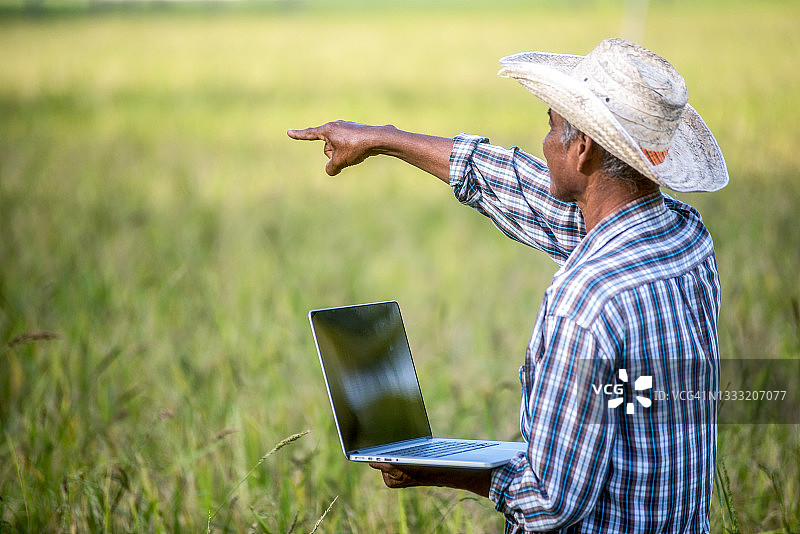 农民在耕地上使用平板电脑，现代技术在农业种植中的应用图片素材