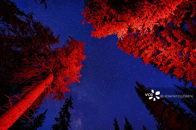 山地森林夜景星空摄影图片素材