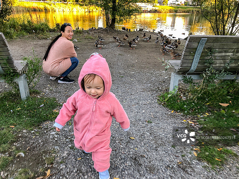 妈妈和宝宝在挪威奥斯陆与野鸭图片素材