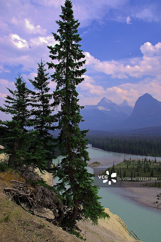 班夫附近落基山脉的森林图片素材