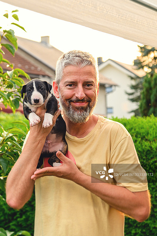 男子抱着牛头㹴幼犬图片素材
