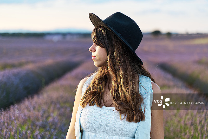 女人戴着黑帽子站在薰衣草田里，眺望远方图片素材