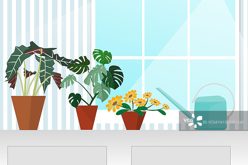 室内花园插画概念：花盆中美丽的室内植物摆放在玻璃窗旁的橱柜上，让人们在家中感到清新和放松图片素材