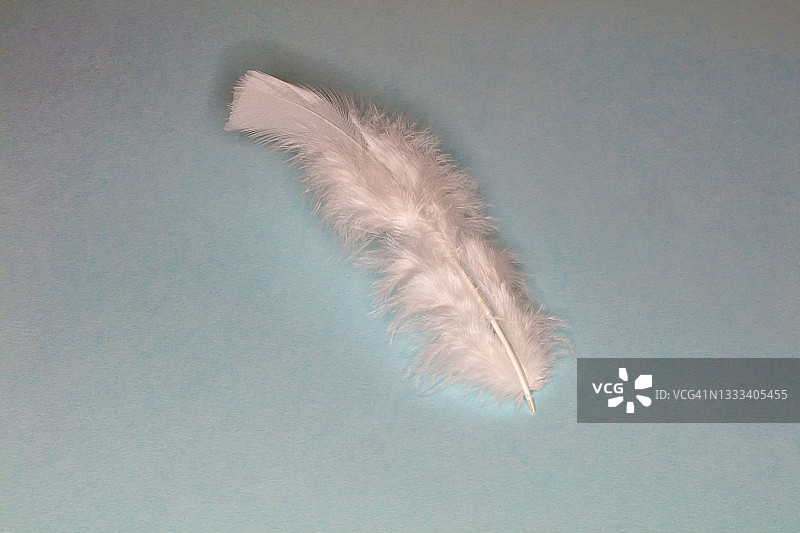纯浅蓝色背景上的粉色羽毛图片素材