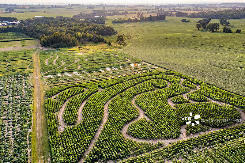 加拿大库克敦，夕阳下27号公路上的农场图片素材