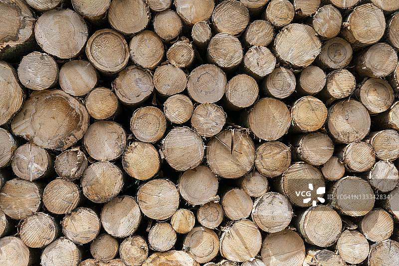 德国巴登-符腾堡州的木材工业：堆叠的原木图片素材