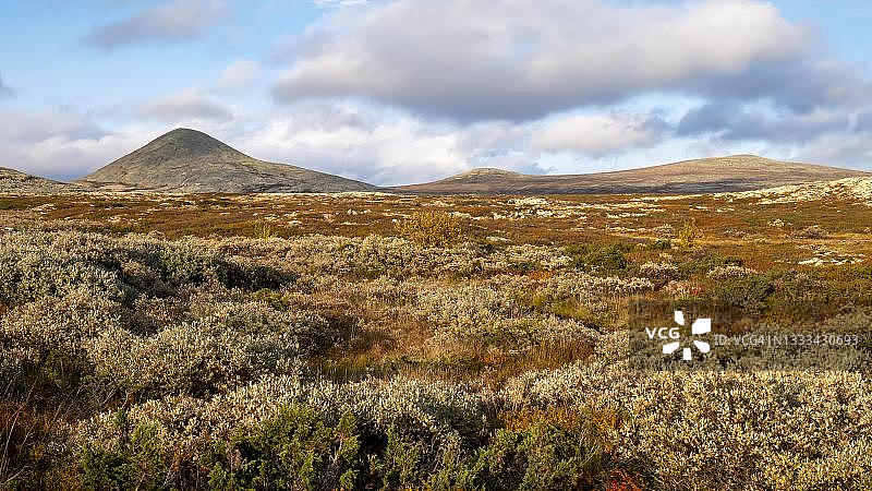 秋季风光，挪威朗达讷国家公园图片素材