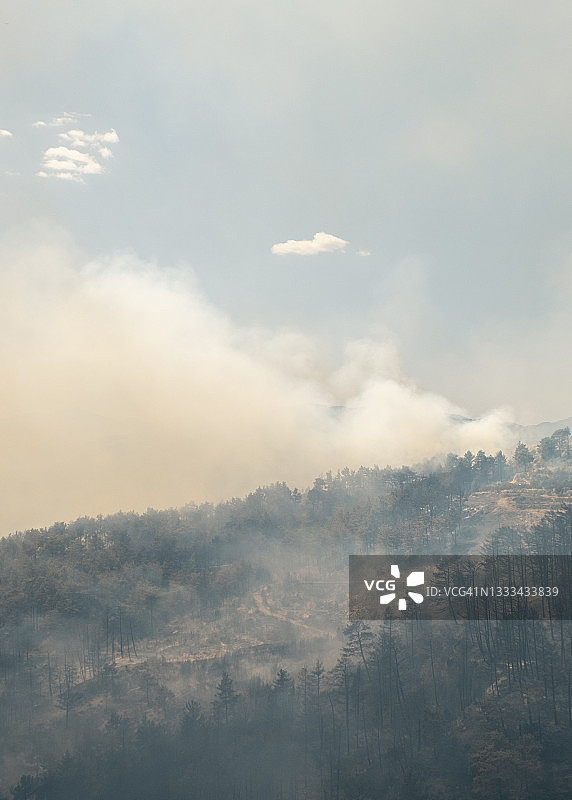 森林大火图片素材