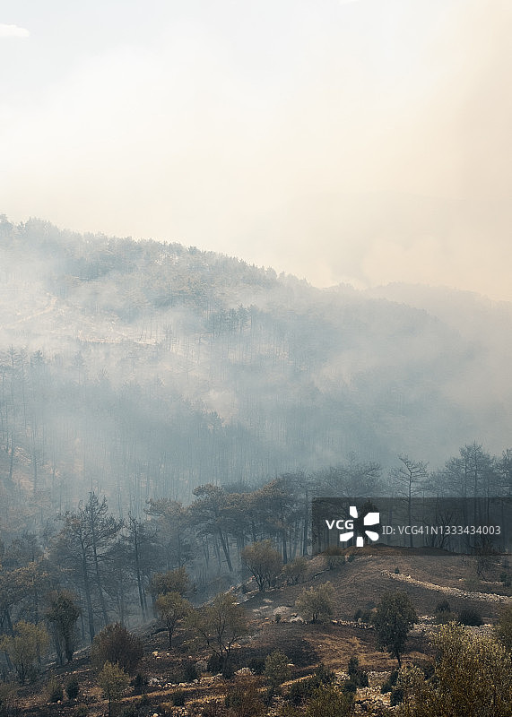森林大火图片素材