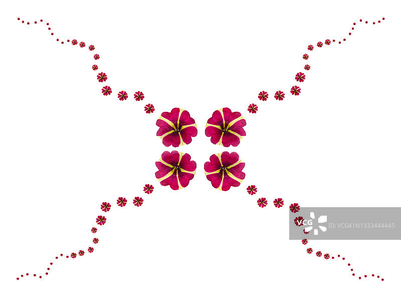 粉色和黄色矮牵牛花图案图片素材