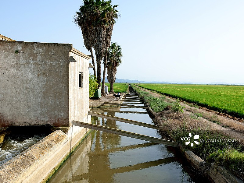 稻田灌溉渠道图片素材