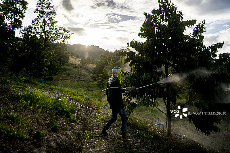 亚洲农民在农场使用生化喷雾对植物和树木进行消毒和防治害虫图片素材