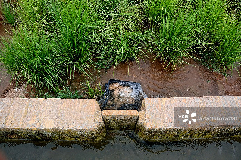 传统方式浇水图片素材