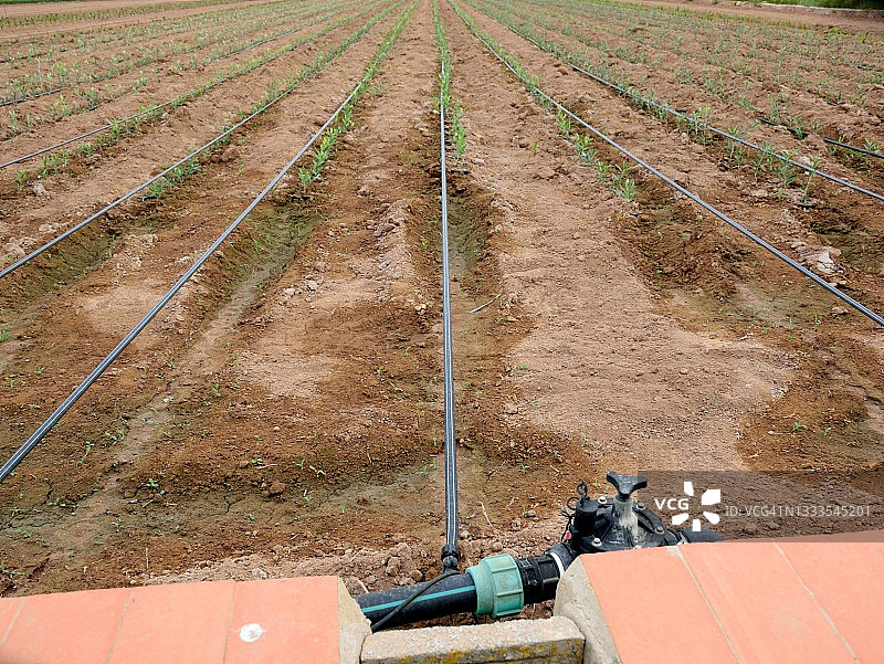 新型滴灌系统图片素材