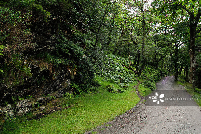 格伦达洛，威克洛郡，自然保护区图片素材