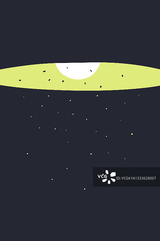 灯和昆虫图片素材