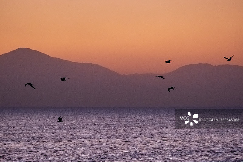 索尔顿海日落图片素材