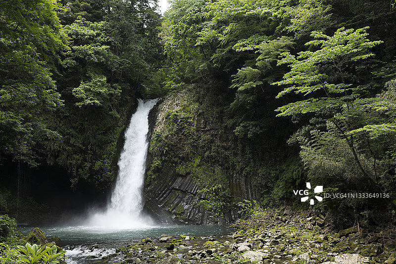 初夏时节，植被茂盛的瀑布（约伦瀑布）图片素材