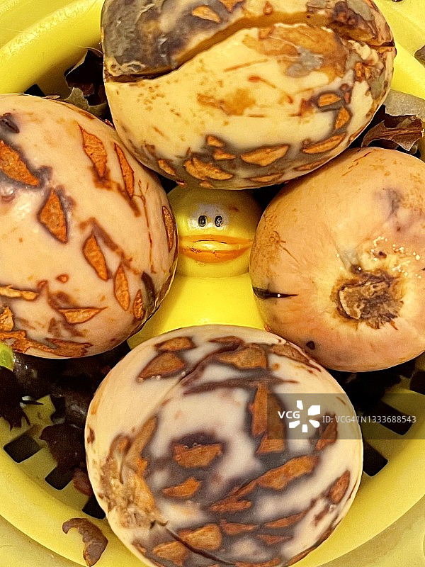 牛油果种植技巧：水槽过滤法图片素材