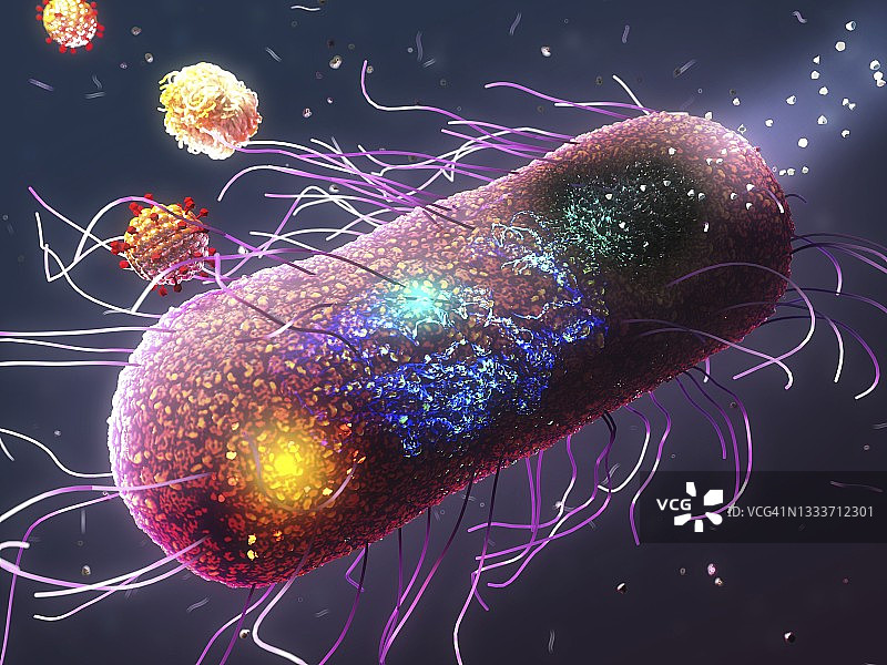 用于抗生素耐药菌的纳米材料图片素材