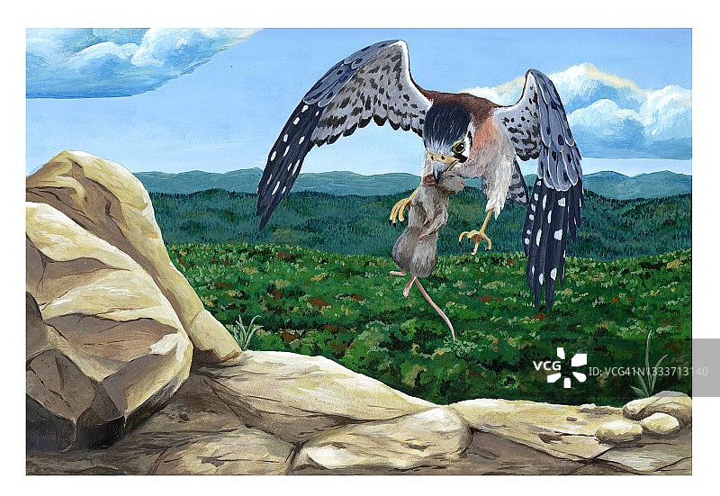 北美红隼与猎物插画图片素材