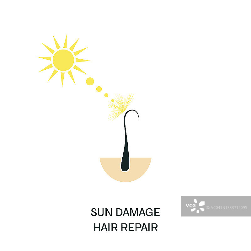 头发护理概念图图片素材