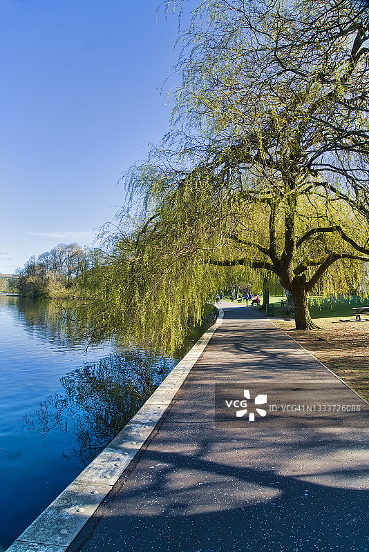 阳光明媚的春日，林利思戈湖畔风光图片素材