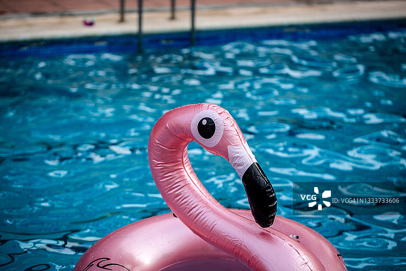 粉色充气火烈鸟图片素材
