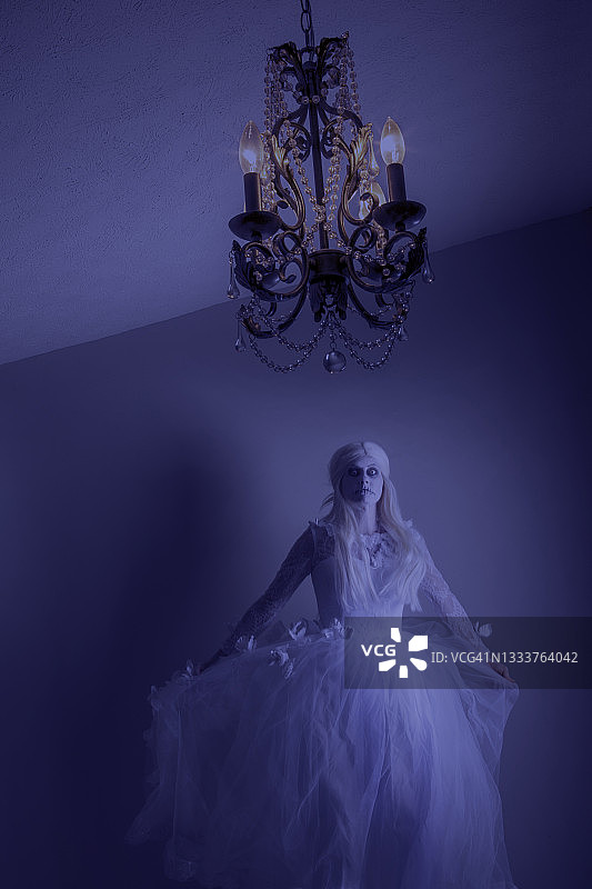 夜间出没图片素材